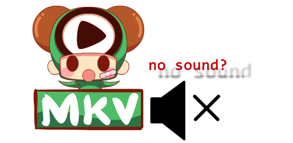 mkv-no-sound.gif